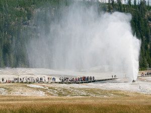 Geyser in Yellowstone